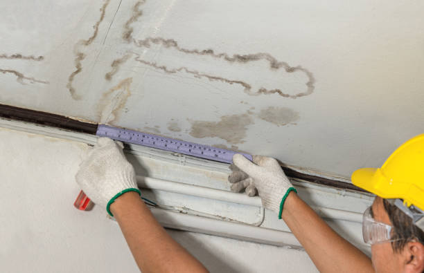 Reliable Water Damage Repair contractor in Virginia, IL by Aqua Guard Water Damage
